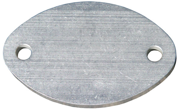 Crankcase Plate - Polaris