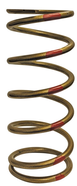 Driven Spring for Polaris for P90 X/P90X HD Clutch
