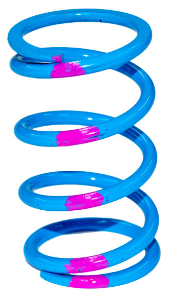 High Performance Drive Clutch Springs