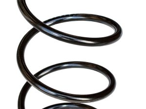 TRA Primary Spring